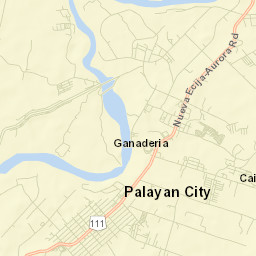 Palayan City Street Map