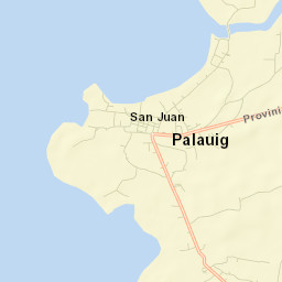 Palauig Street Map