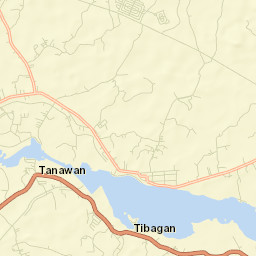 Niugan Street Map