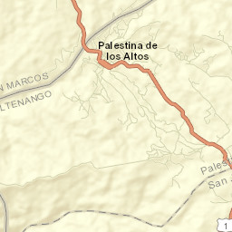 Palestina de los Altos Street Map