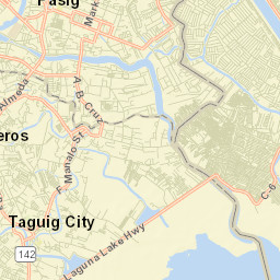 Taguig Street Map