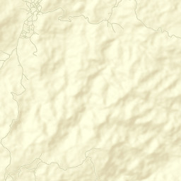 Vallecillo Street Map