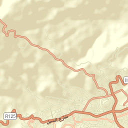 Al Dhihar Street Map