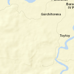 Garchitorena Street Map