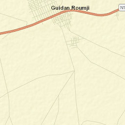 Guidan Roumdji Department Street Map