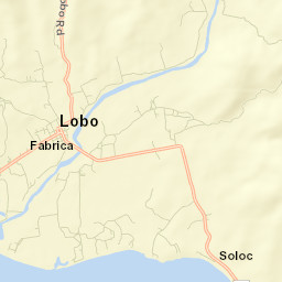 Lobo Street Map