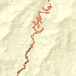 Southern Tigray Zone Street Map