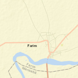 Farim Street Map