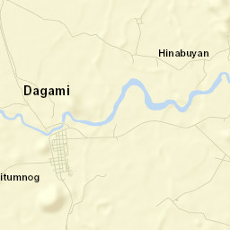 Dagami Street Map