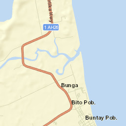 Abuyog Street Map
