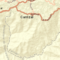 Carrizal Street Map