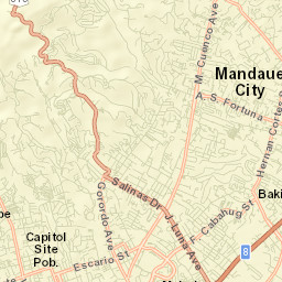 Apas Street Map