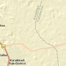 Pallattur Street Map