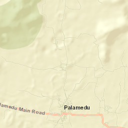 Palamedu Street Map