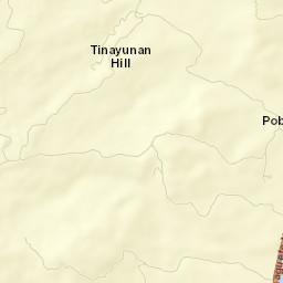 Buenavista Street Map