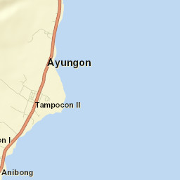 Ayungon Street Map