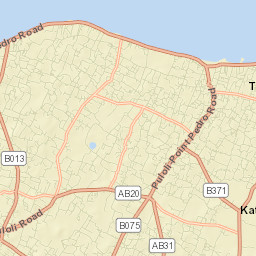 Point Pedro Street Map