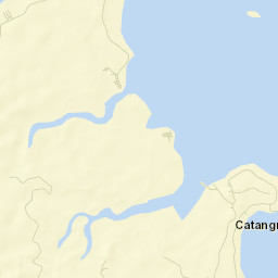 General Luna Street Map