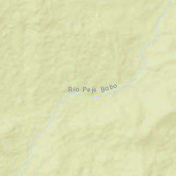 Pueblo Nuevo Street Map