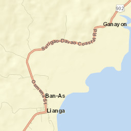 Lianga Street Map