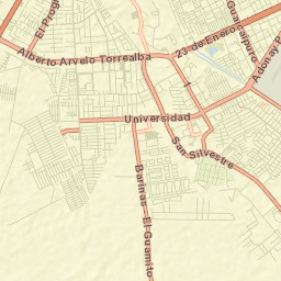 Alto Barinas Street Map