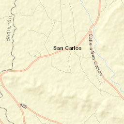 San Carlos Street Map