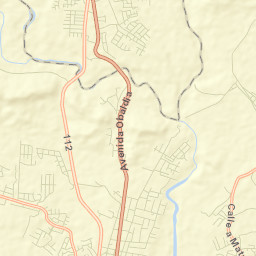 Nuevo San Carlitos Street Map