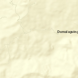 Dumalaguing Street Map