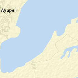 Ayapel Street Map