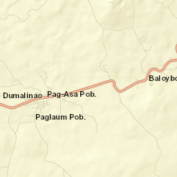 Dumalinao Street Map