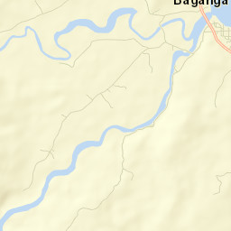 Baganga Street Map