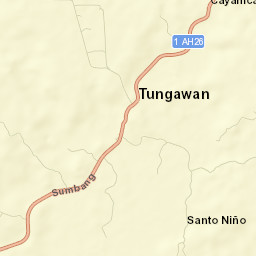 Tungawan Street Map