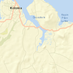 Nett Municipality Street Map