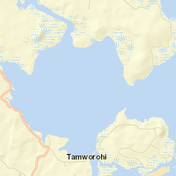 Madolenihm Municipality Street Map