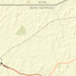 Bensonville Street Map