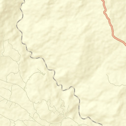 Palestina Street Map