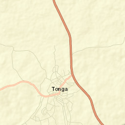 Tonga Street Map