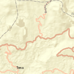 Tena Street Map
