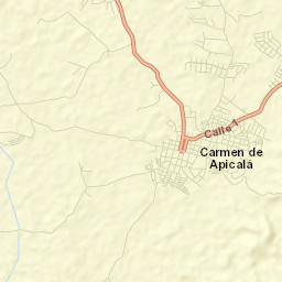 Carmen de Apicalá Street Map