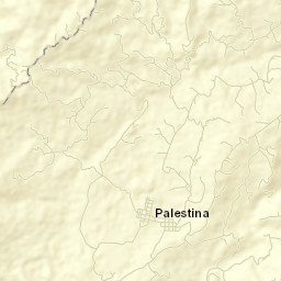 Palestina Street Map