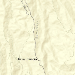 Providencia Street Map