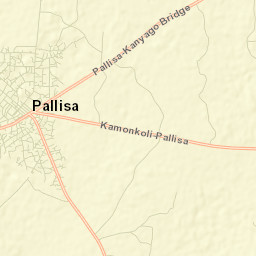 Pallisa Street Map