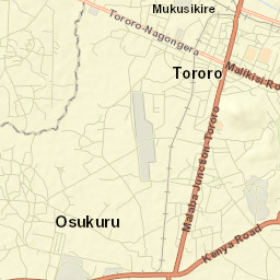 Tororo Street Map