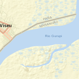 Viseu Street Map