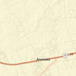 Usa River Street Map