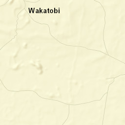 Wakatobi Regency Street Map