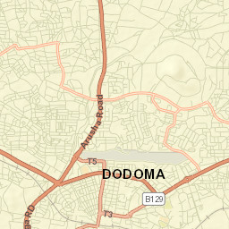 Dodoma Street Map