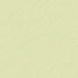 South Fly Street Map