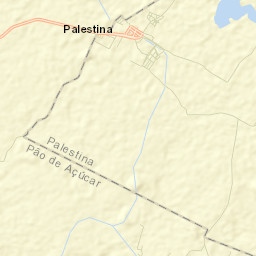 Palestina Street Map