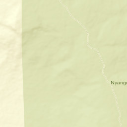 Nyanga District Street Map